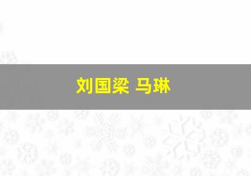 刘国梁 马琳